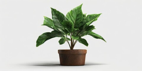 Green leaves of plant tree isolated on white background