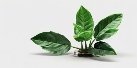 Green leaves of plant tree isolated on white background