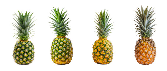 Set of realistic ripe pineapple separately isolated on transparent or white background
