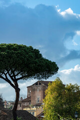 B&acirc;timents et pins parasols &agrave; Rome