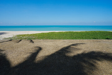 Shadow Coconut tree over blue sky. Beautiful beach road in Thailand,