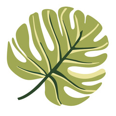 light green palm leaf vector