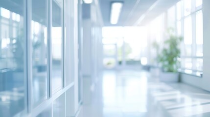 Airy Office Corridor with Plant Decorations