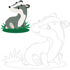 Vector image of a baby badger. Coloring book for children's creativity.