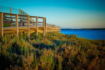 View at elevated wooden walkway on the Ludo Trail through Ria Formosa near Faro