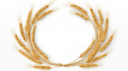 wheat ears isolated on white background
