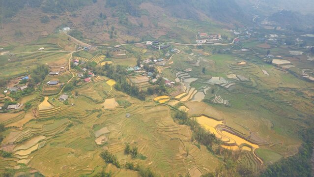 Top view of terraced paddy field and traditional houses of Muong Hoa valley, Fansipan mountain, Sa Pa town, Vietnam.