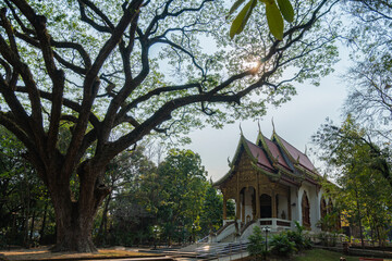 Buddhist temple, Asian culture, Chingmai, Thailand, architecture of Asia