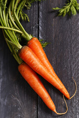 organic fresh carrots for juice and healthy eating