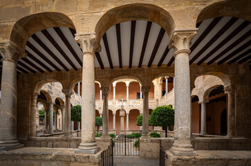 Cloister of the Orihuela cateral, Alicante, Valencian Community, Spain