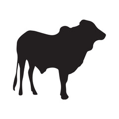 Qurbani cow silhouette vector illustration on white background. Black cattle silhouette icon art. Eid ul adha.