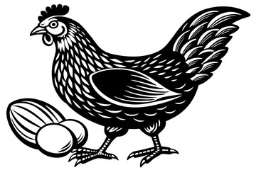 Chicken with eggs vintage illustration vector set