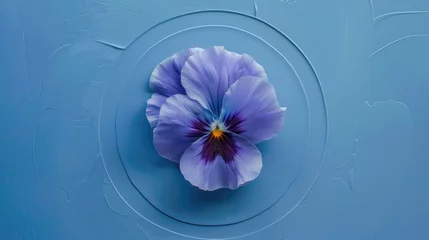 Wandcirkels aluminium The Pansy Flower with Circle on a Blue Background © 2rogan