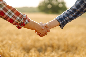 Two farmers shake hands against the background of a field of wheat at sunset. Agriculture and harvesting concept