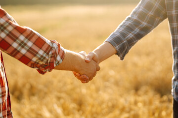 Two farmers shake hands against the background of a field of wheat at sunset. Agriculture and...