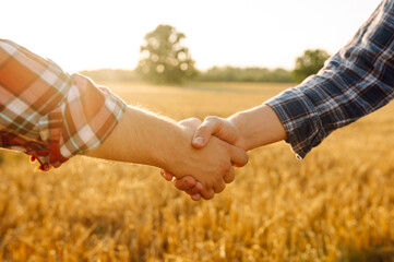 Two farmers shake hands against the background of a field of wheat at sunset. Agriculture and...