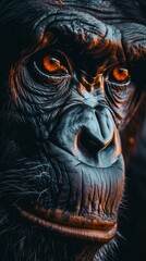 Detailed close-up of a chimpanzee's face.