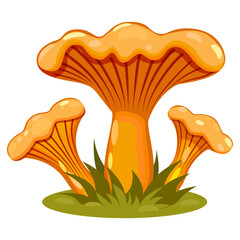 Family of mushrooms. Mushroom chanterelle. Nature. Ecology. Vector. Graphics. Simple, flat drawing. Deciduous, coniferous forest. Agricultural crop. 