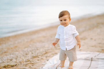 Fototapeta na wymiar Little boy walks on the beach in the summer at sunset. Happiness, joy, holiday, beach, summer concept.