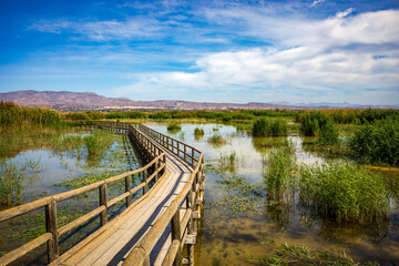 Lagoon in the Hondo Natural Park in Alicante, Spain, with wooden walkway for bird watching in...
