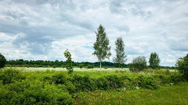A sunny summer day in the village, green trees and a cloudy sky. Photo landscape in the Russian countryside.