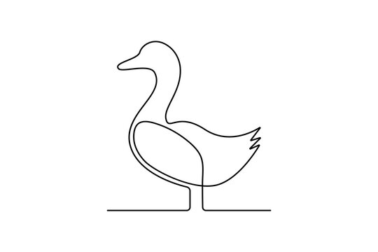 recommend clip art: Duck continuous one line drawing of minimal out line art. Animal 
                    Pets love concept abstract drawing