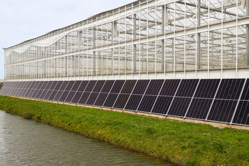 Solar panels in greenhouse horticulture.