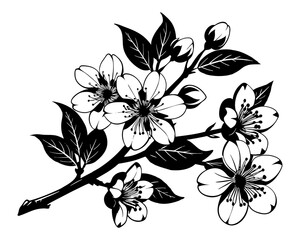 Hand Drawn Flowers on a white background