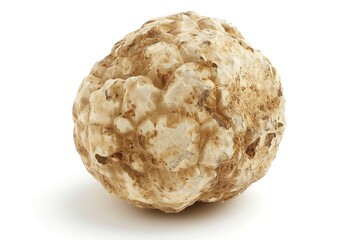Obraz premium a single large white truffle, spotlight effect, isolated on white, macro lens style