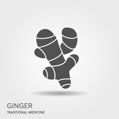 Cute ginger root plant isolated on white background. Spicy herb pictogram.