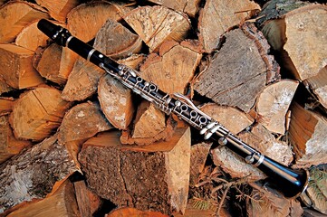 Drewniany klarnet i drewno opałowe