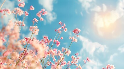 Pastel Spring Blossom: Gentle Floral Background with Pink Fluffy Flowers, Blue Sky, and Soft Sunlight. Nature Border.