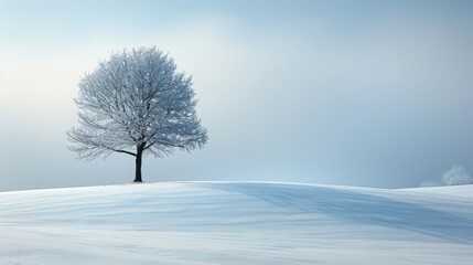 Lone frost-covered tree on a serene snowy hill against a soft winter sky Concept of solitude, winter beauty, and the tranquility of nature