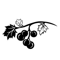 Black silhouette of grapes, branch with grapes. Vector illustration.