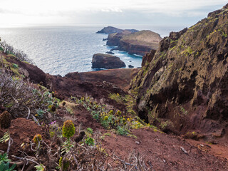 Cape Ponta de Sao Lourenco, Canical, East coast of Madeira Island, Portugal. Scenic volcanic landscape of Atlantic Ocean, rocks and cllifs and cloudy sunrise sky. Views from popular hiking trail PR8 - 790258476