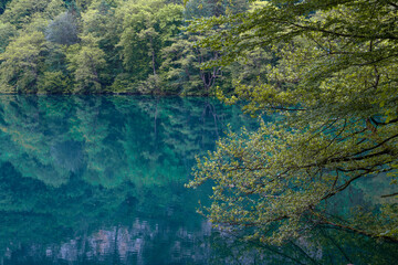 June morning on Tserik-Kel (Cherek-Kel) lake. Blue Lakes, Kabardino-Balkaria. Russian Federation