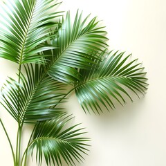 Vibrant Green Palm Leaves on White Background, Tropical Flat Lay Top View