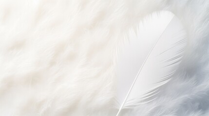 Peaceful and Soft Background of Serene White Feather Texture Close-Up