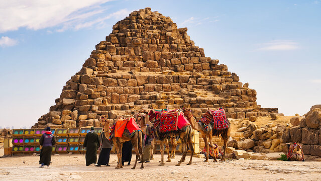 Camels dressed up finery wait for tourists in front of the Pyramid of Hetepheres, one of the queen's pyramid on the Giza plateau 