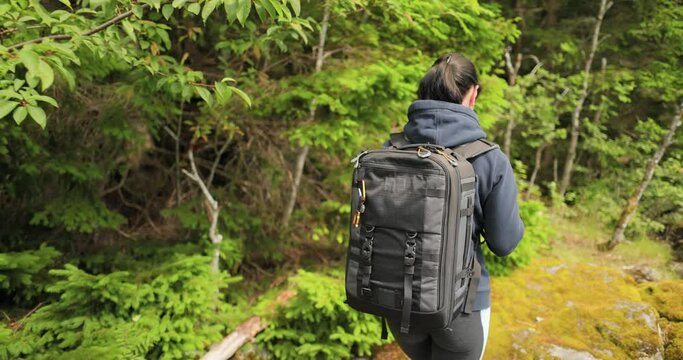Hiking woman walk with a hiking backpack in spring green forest