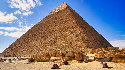 Fototapeta na wymiar Spectacular wide angle view of the Great Pyramid of Khafre, built between 2558−2532 BC on a brilliant bright day with a camel resting in the foreground on the Giza plateau 