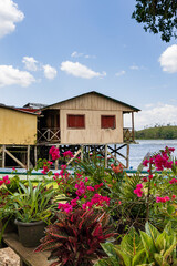 Colorful flowers of El Castillo village along the San Juan river in Nicaragua