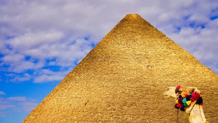 Foto op Canvas A Camel's face in close up in the background of the soaring face of the Great Pyramid of Khufu at Giza against blue skies on the Giza plateau  © InnerPeace