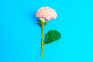 Conceptual Rose with Human Brain