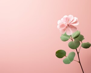 Fototapeta na wymiar A soft focus image of a fourleaf clover set against a gentle pastel pink background, evoking feelings of luck and serenity