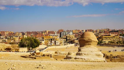 Foto op Canvas Spectacular wide angle view of the back of the head of the Great Sphinx overlooking the modern bustling Cairo metropolis suburbs on a hot bright day  © InnerPeace