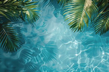 Fototapeta na wymiar Palm Tree Reflected in Water