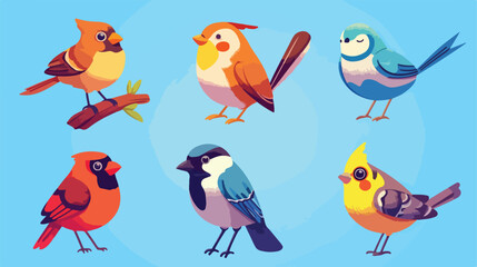 Birds illustration icons. Colorful exotic cartoon b