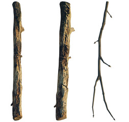 Naklejka premium Twig 4k png cutout