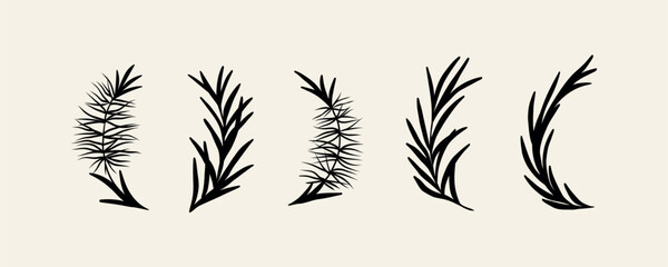 Flat vector tea tree branches collection